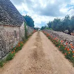 Trullo Il Zippo In Zippitello Alberobello