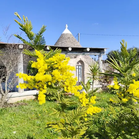 Trullo Il Zippo In Zippitello * Alberobello