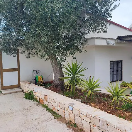 Holiday home Trullo Il Zippo In Zippitello *