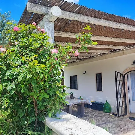 Trullo Il Zippo In Zippitello Alberobello