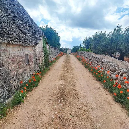 Trullo Il Zippo In Zippitello Alberobello