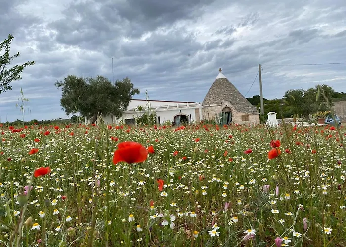 Trullo Il Zippo In Zippitello *