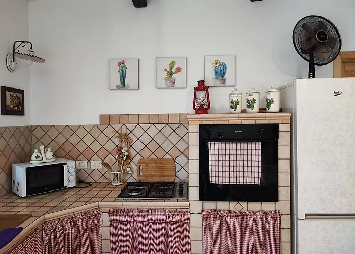 Trullo Il Zippo In Zippitello 度假居 阿尔贝罗贝洛