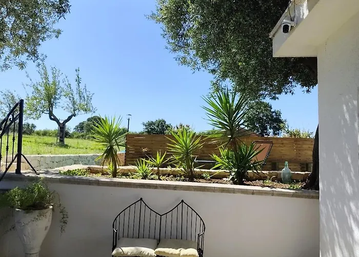 度假居 Trullo Il Zippo In Zippitello 阿尔贝罗贝洛